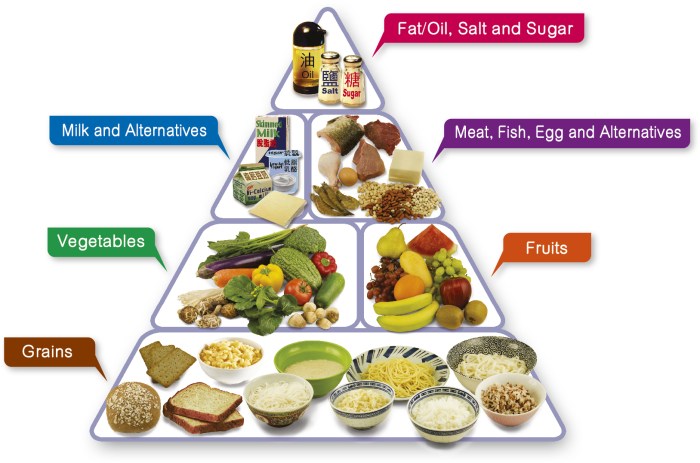 Diet balanced nutrition infographic healthy proper key eating food importance different groups foods their good group plan dietary eat tips