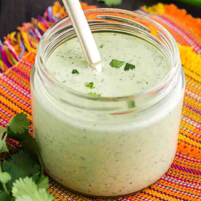 Recipe for cilantro sauce