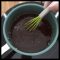 Recipe for Vegan Worcestershire Sauce